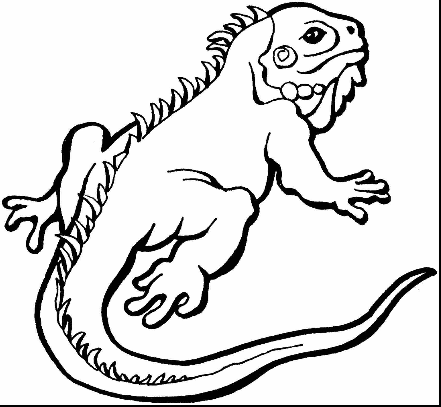 1706x1574 Question Mark Coloring Page Web Coloring Pages