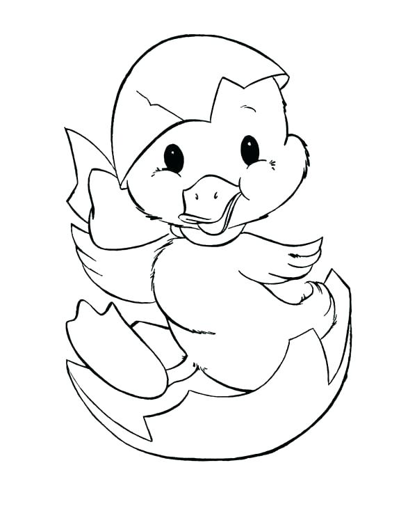600x734 Egg Coloring Page Duckling Coloring Pages Duckling Just Hatching