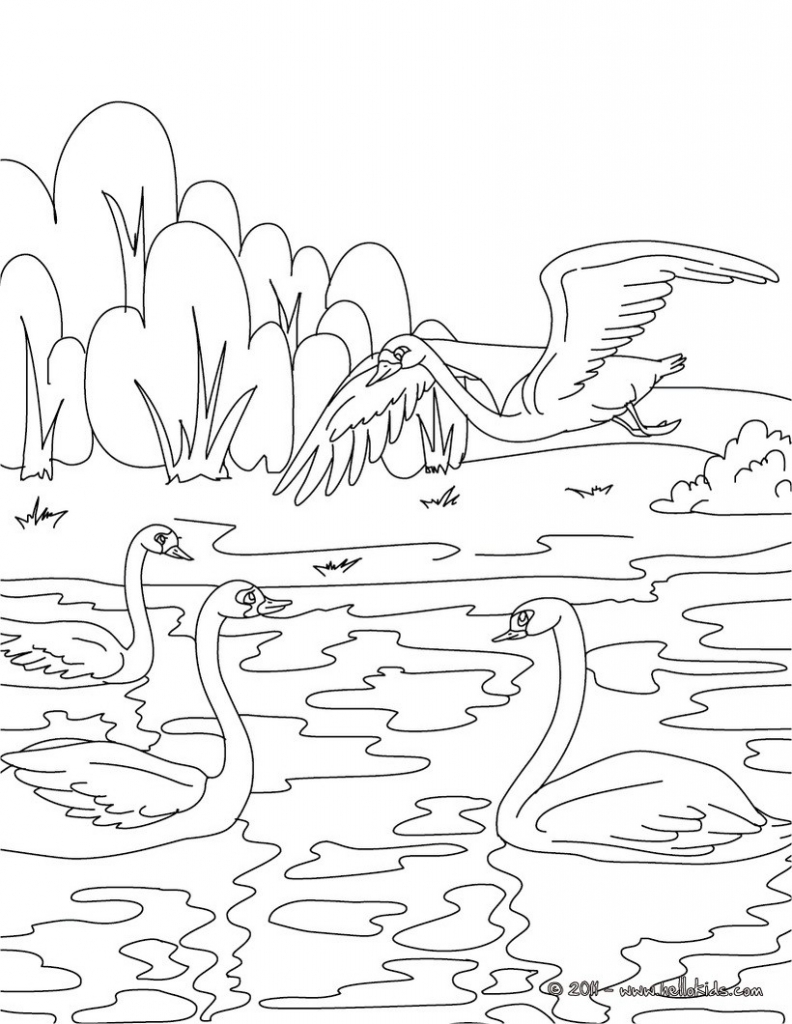 792x1024 The Ugly Duckling Coloring Pages To Print Coloring For Kids 2018