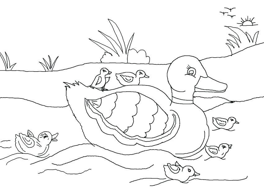850x604 Ugly Duckling Coloring Pages Ugly Duckling Colouring Pages Page 2