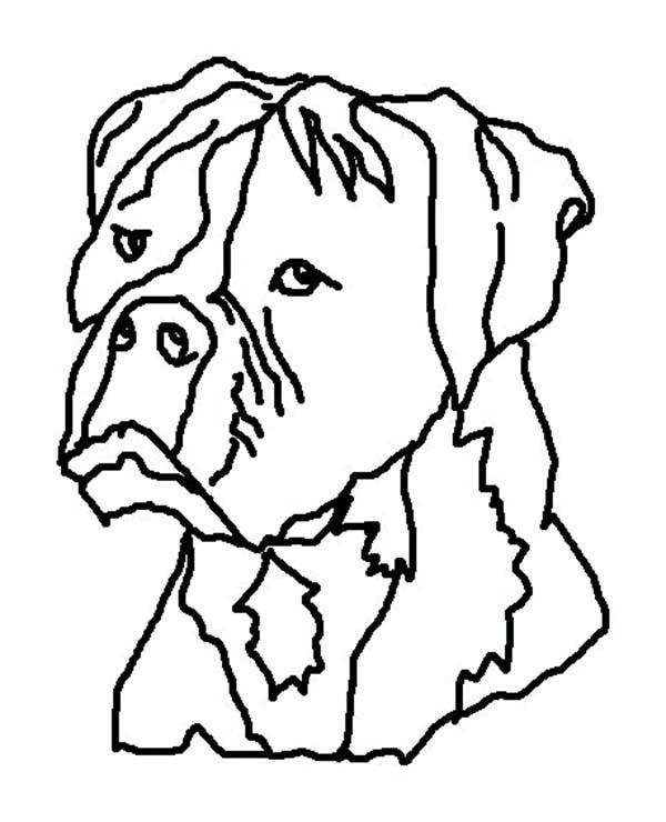 600x740 Boxer Dog Ugly Face Coloring Pages Best Place To Color