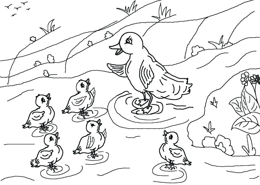 850x604 Duckling Coloring Pages Find More Ugly Duckling Ugly Duckling