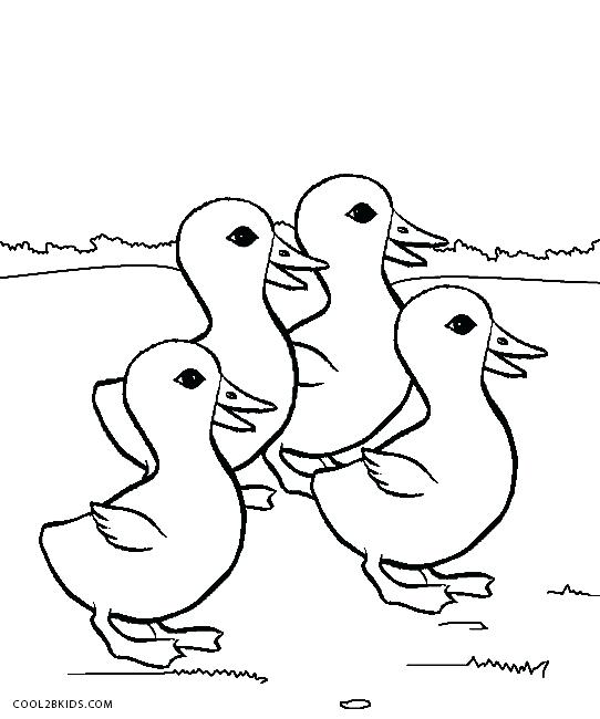 542x650 Duckling Coloring Pages Fresh Duck Coloring Pages On Coloring