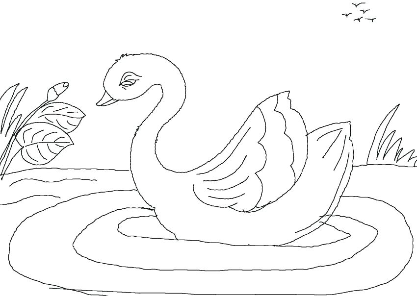 850x604 The Ugly Duckling Coloring Book Pages Duck And Page D