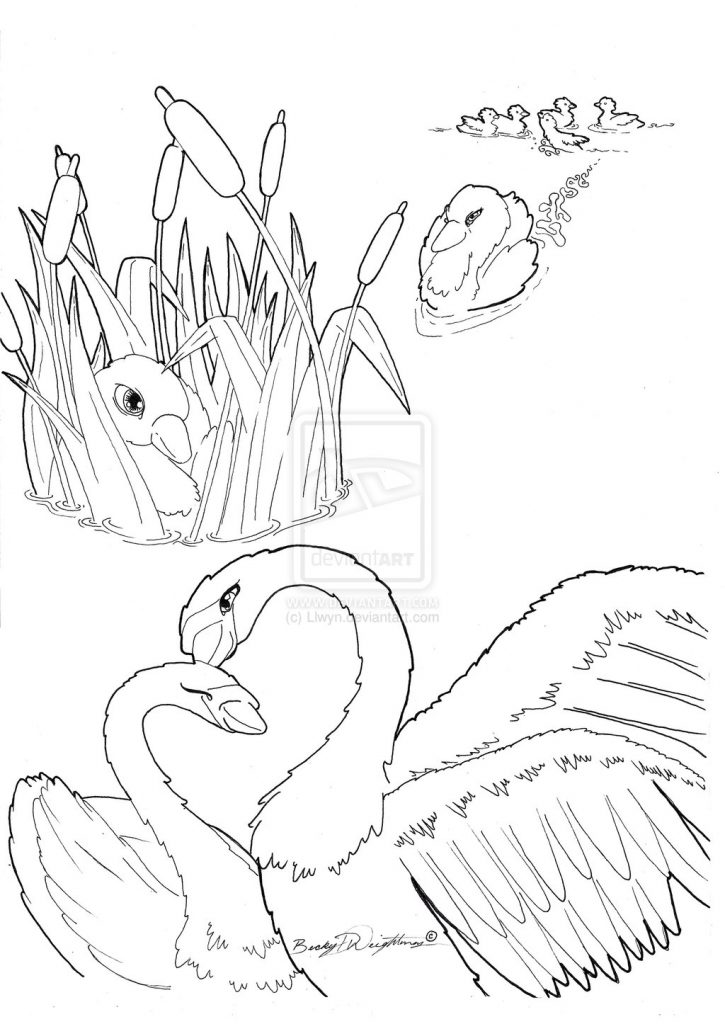 725x1024 The Ugly Duckling Tale Coloring Pages For Kids Book Page Stock