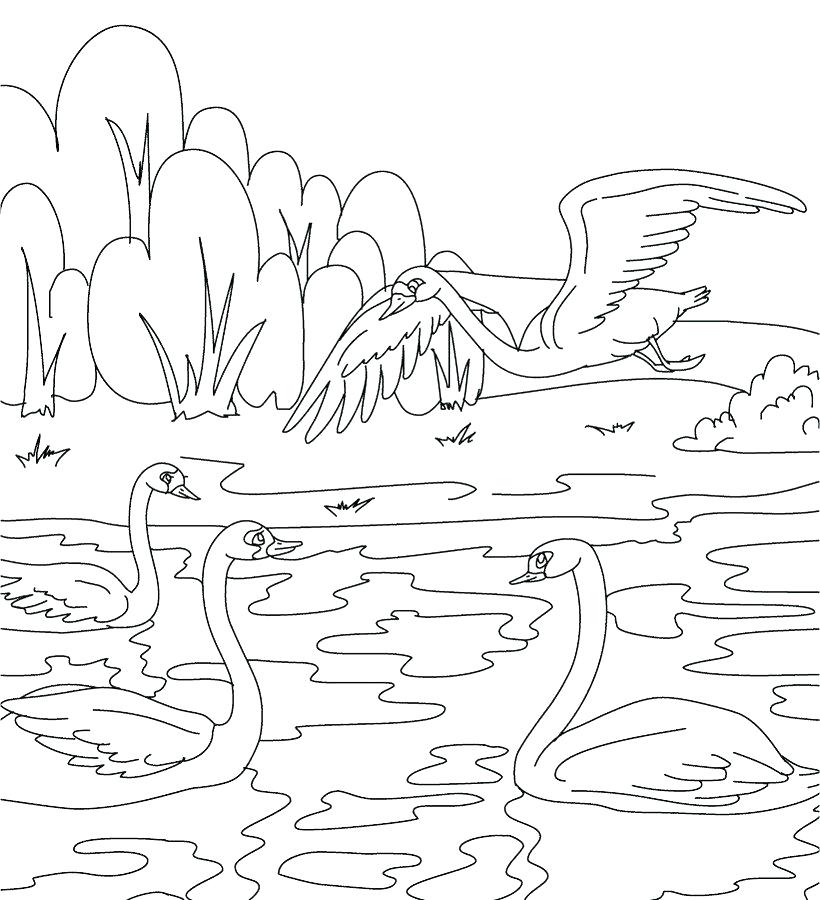 820x900 Ugly Duckling Coloring Pages Ugly Duckling Coloring Pages Ugly