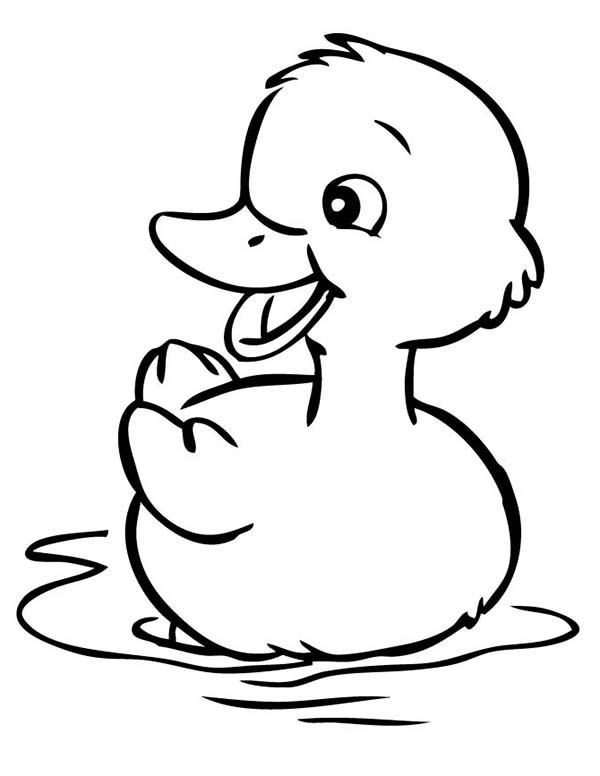 600x776 Duckling Coloring Page Funycoloring Duckling Coloring Pages
