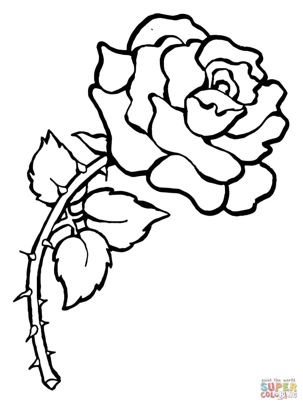 1200x1600 Ultimate Coloring Pages Of Real Roses Top Page A Rose Design 332