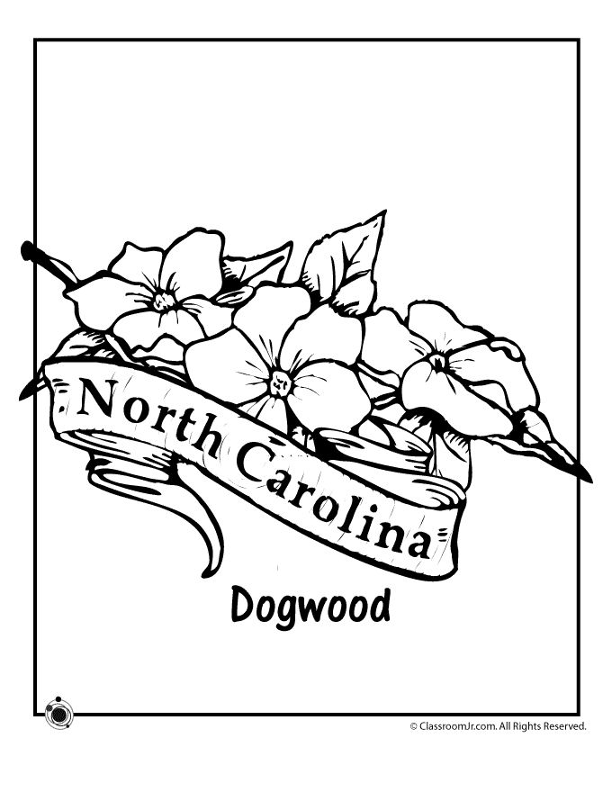 680x880 Unc Coloring Pages 65 Best Ss North Carolina Images
