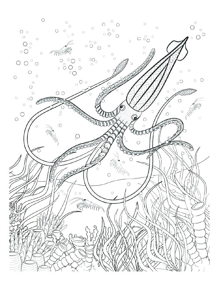 736x952 Deep Sea Animals Coloring Pages Complete Underwater Coloring Pages