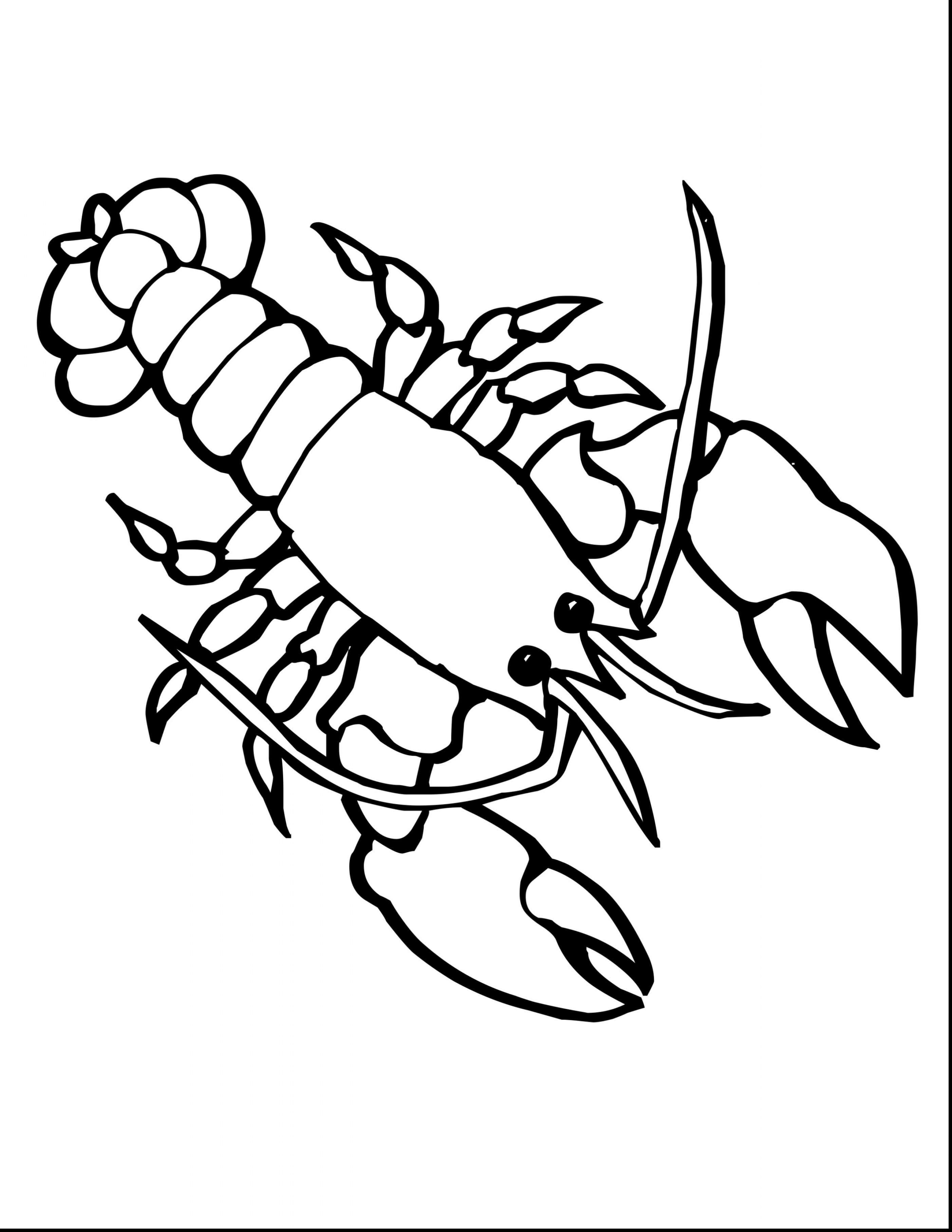 2805x3630 Sea Life Coloring Pages Free Colouring For Adults Childrens Online