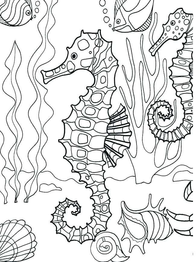 650x867 Marine Life Coloring Pages Ocean Life Coloring Pages Underwater