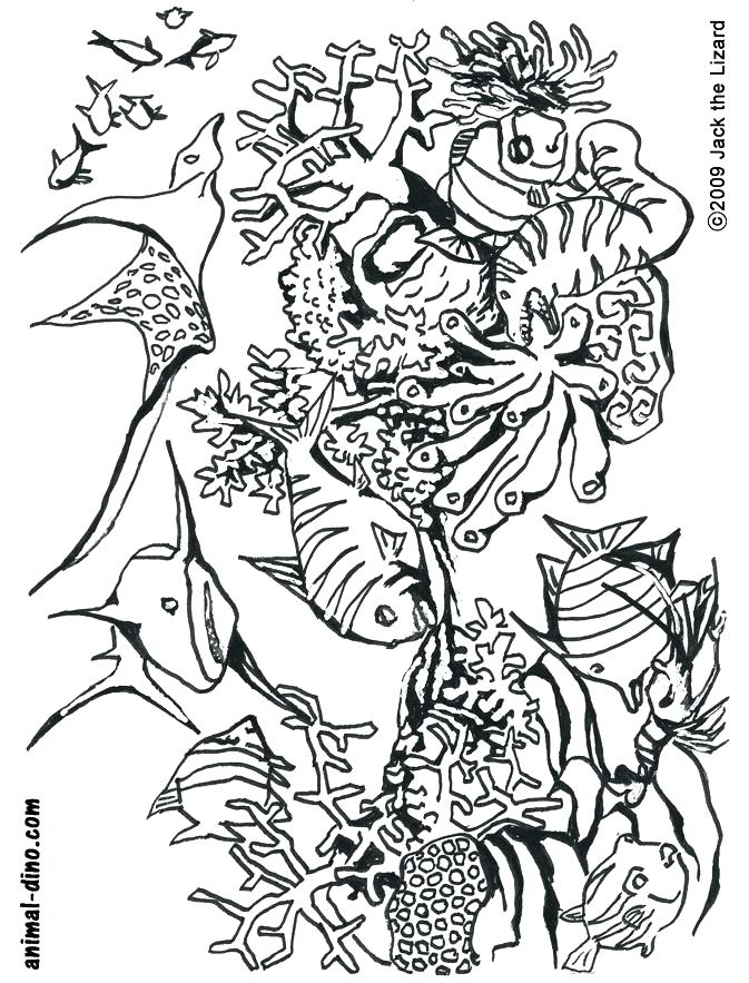 673x883 Ocean Coloring Pages Under The Sea Coloring Pages Ocean Coloring
