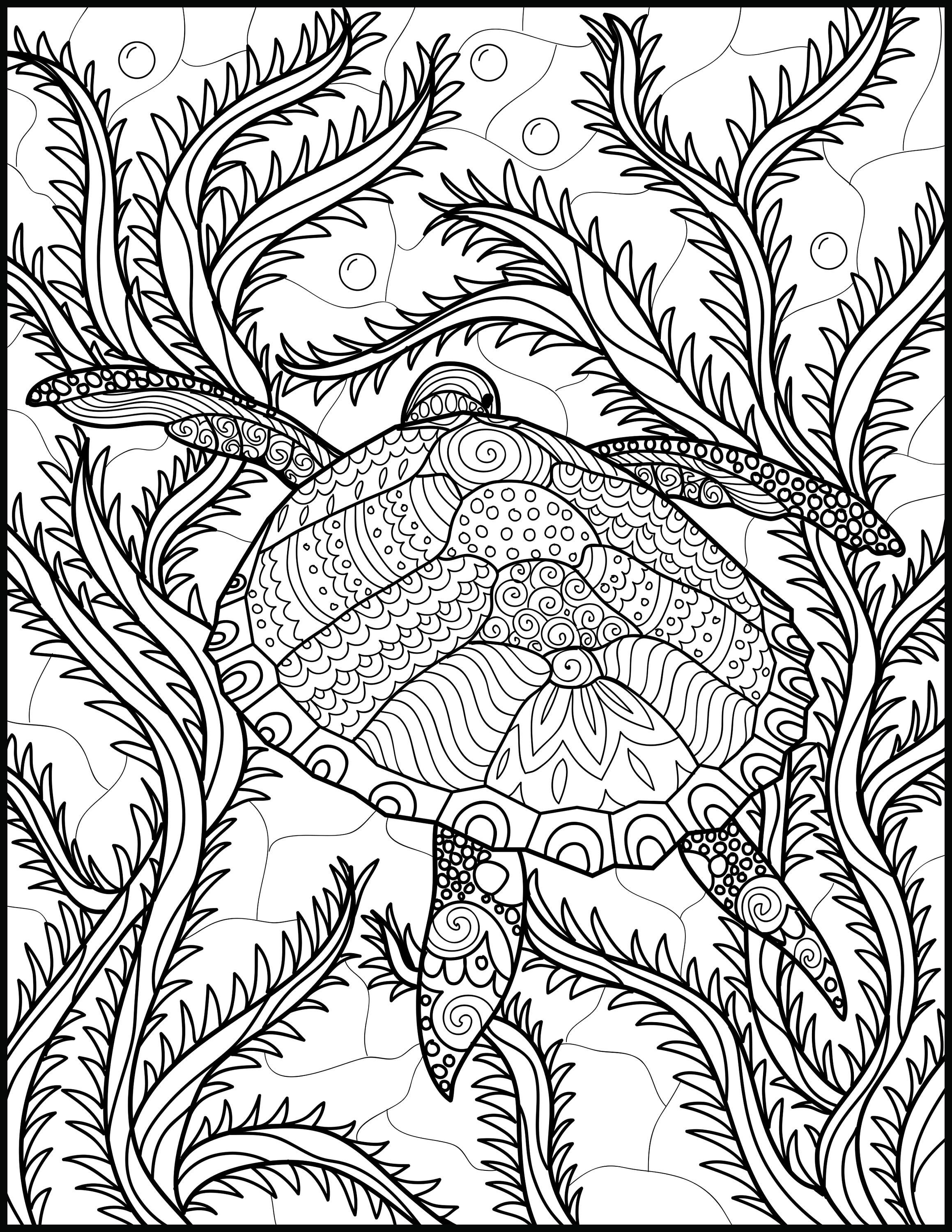 2318x3000 Pin By Elisabeth Quisenberry On Coloring Under The Sea