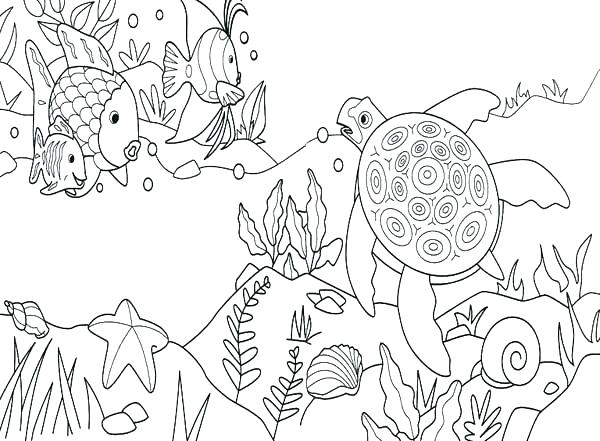 600x441 Under The Sea Coloring Sheets Under The Sea Coloring Page Under