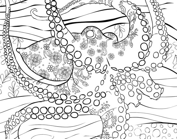 570x447 Adult Coloring Book Page From Coloring Book For Adults
