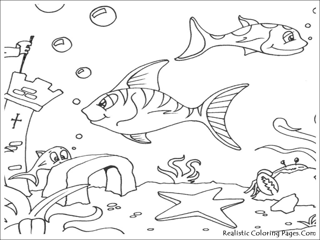 1024x768 Ocean Scenery Coloring Pages Best Of Printable Ocean Coloring