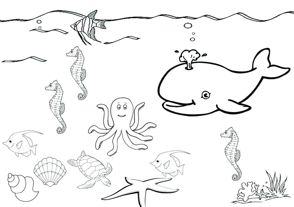 1024x723 Sea Star Coloring Page Sea Star Coloring Page Sea Coloring Page