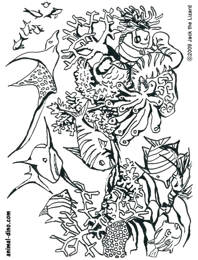 673x883 Sea World Coloring Pages Related Post Seaworld Printable Coloring