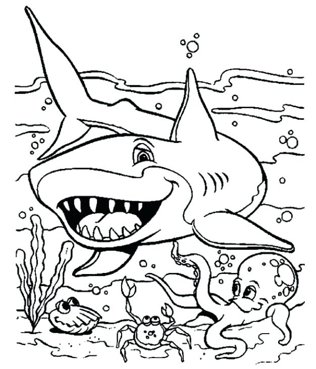 626x730 Seaworld Printable Coloring Pages Under The Sea Animal Predator