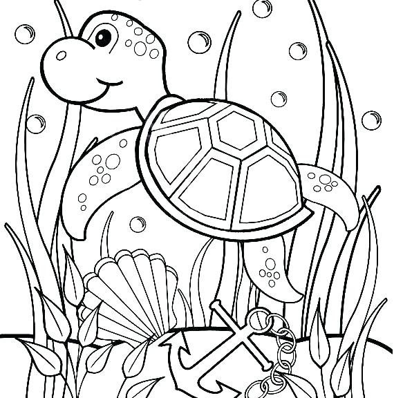 570x576 Underwater Animals Coloring Pages Underwater Sea Creatures