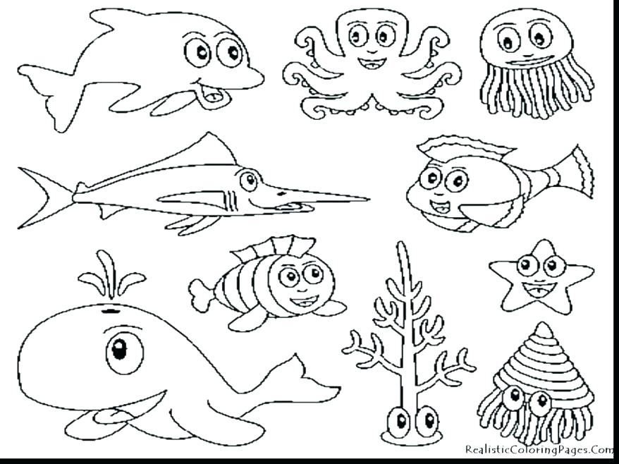878x658 Free Printable Sea Life Coloring Pages