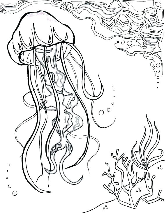 570x733 Ocean Scene Coloring Page Best Ocean Scene Coloring Pages