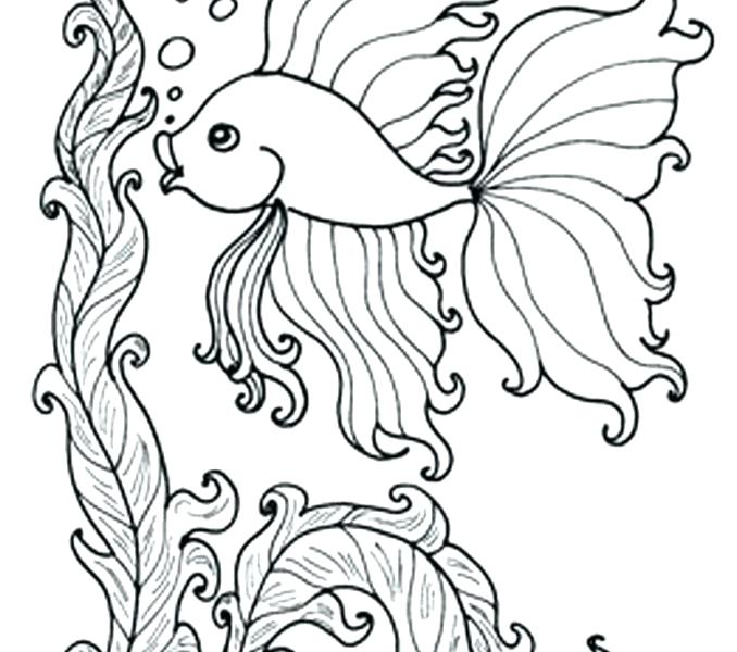 678x600 Ocean Scene Coloring Pages Underwater Coloring Pages Underwater