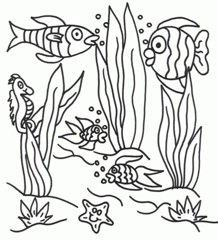 918x1012 Underwater Coloring Pages