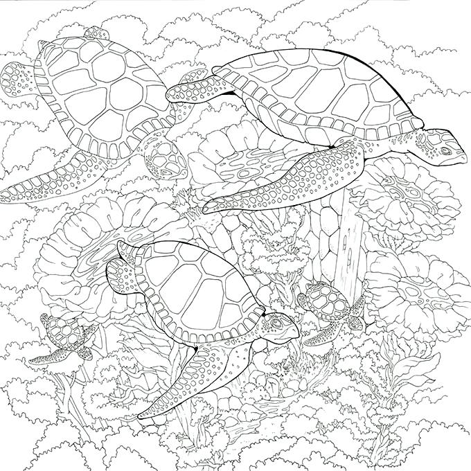 680x680 Underwater Coloring Pictures Sea Animal Pictures To Color Ocean