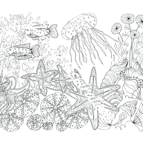 570x570 Printable Ocean Coloring Pages