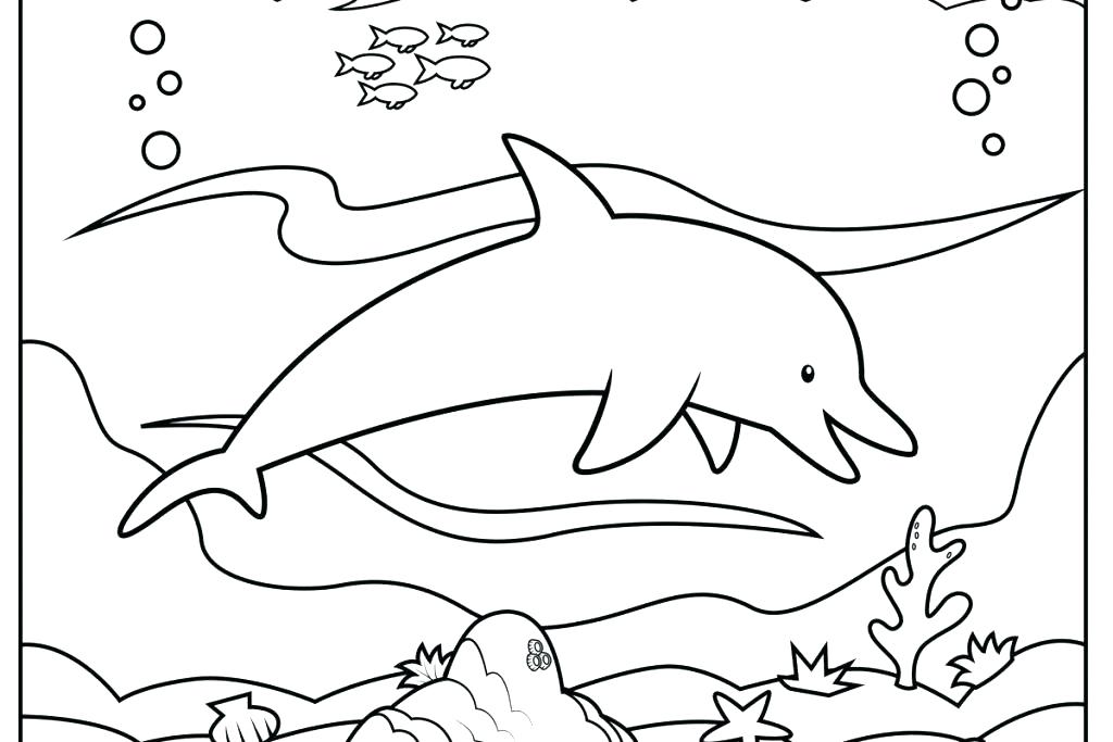 1024x683 Ocean Habitat Coloring Pages Animal Habitat Coloring Pages Ocean