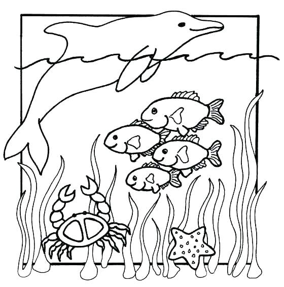 560x566 Printable Ocean Pictures Printable Ocean Coloring Pages Ocean
