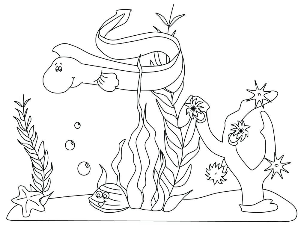 1024x768 Coloring Pages ~ Underwater Coloring Pages Ocean Sea Animals