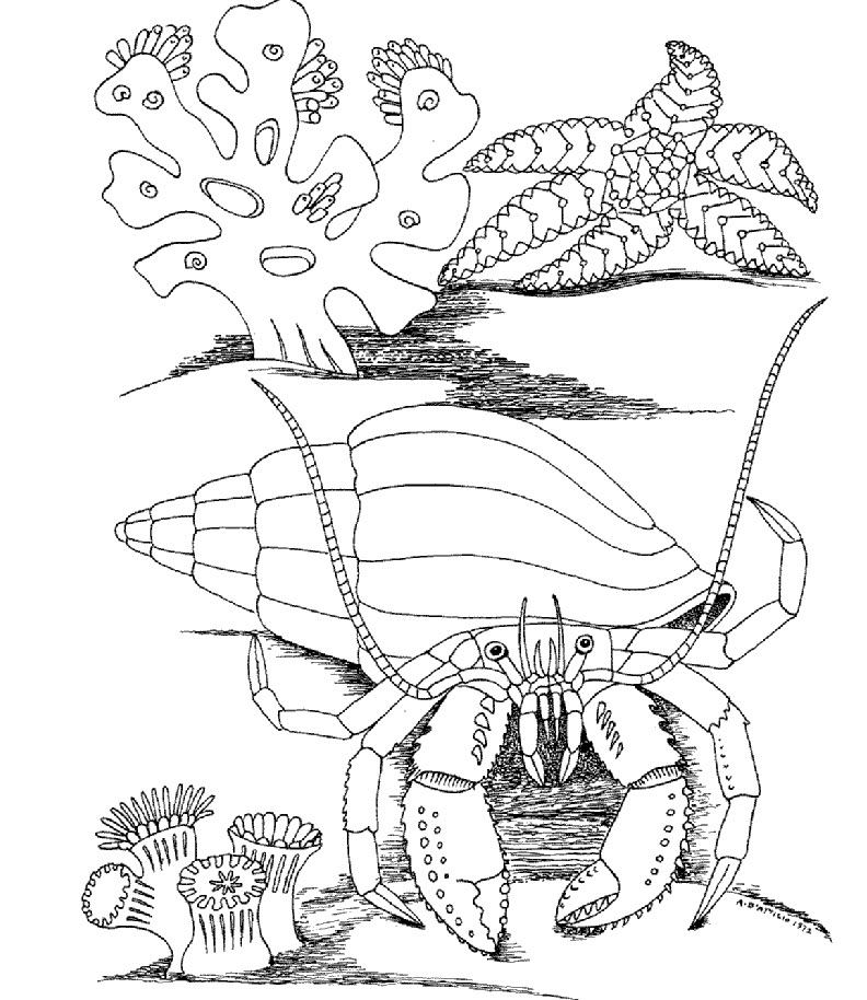 792x914 Kids Under 7 Underwater World Coloring Pages
