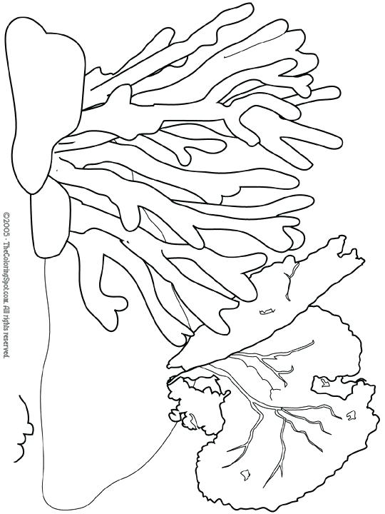 540x720 Underwater Coloring Page Underwater Coloring Page Coral Reef