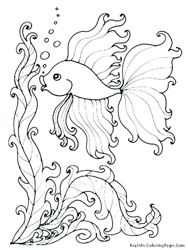 736x981 Underwater Coloring Pages