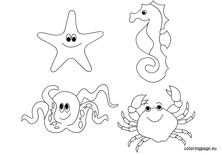 736x514 Ocean Scene Coloring Pages Underwater Coloring Pages Underwater