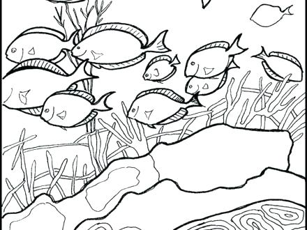 440x330 Underwater Coloring Pages Wonderful Underwater Coloring Pages
