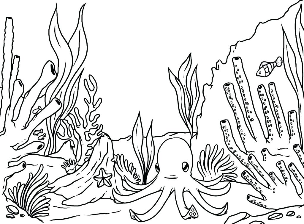 1024x753 Ocean Habitat Coloring Pages Ocean Coloring Page Underwater