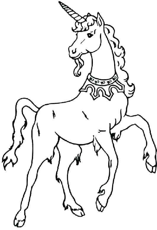 531x778 Cute Unicorn Coloring Pages X Cute Unicorn Coloring Sheets Cute