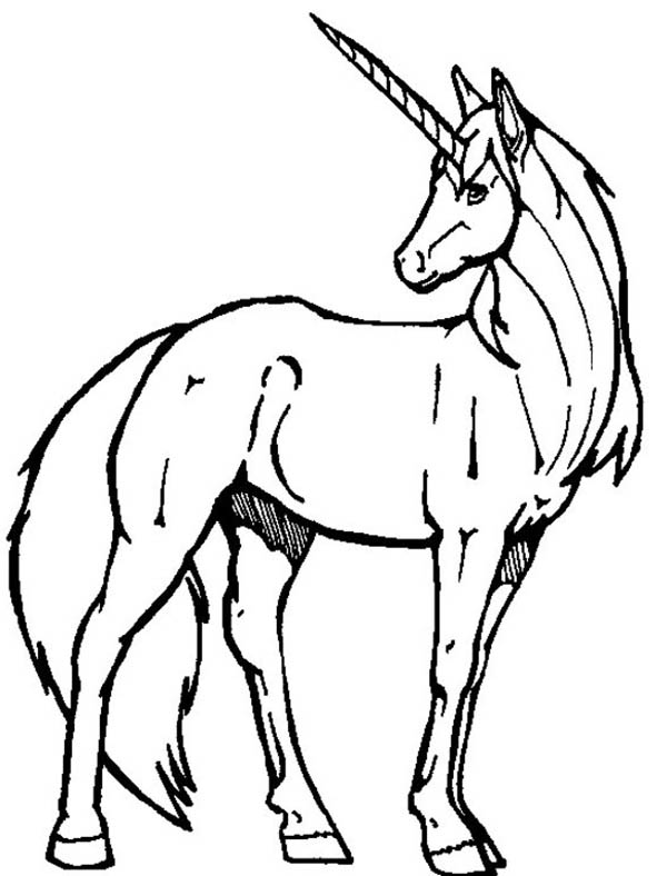 600x788 Unicorn Color Pages Unicorn, A Realistic Drawing Of Unicorn