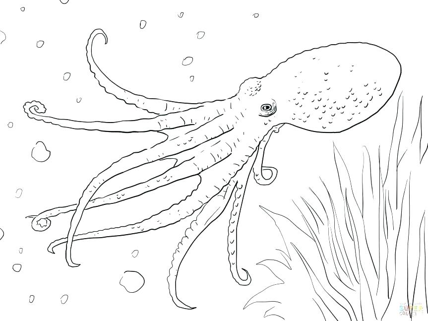 863x647 Oswald Coloring Pages Fall Coloring Pages Interactive Magazine