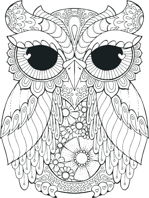 497x659 Anatomy Coloring Pages For Adults Coloring Book For Adults Plus