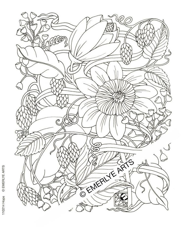 736x920 31 Best Coloring Images On Coloring Pages, Adult