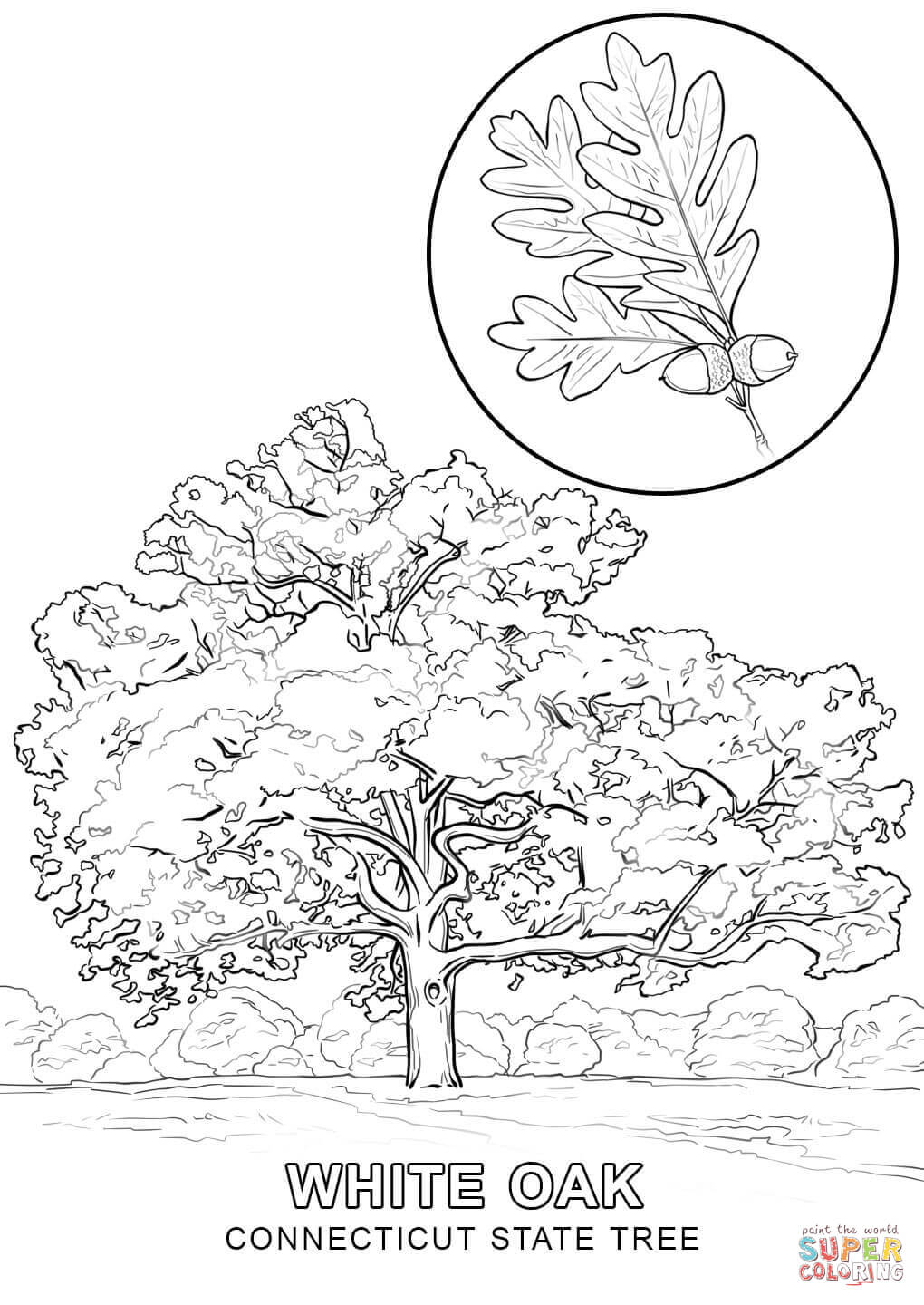 1020x1440 State Coloring Pages