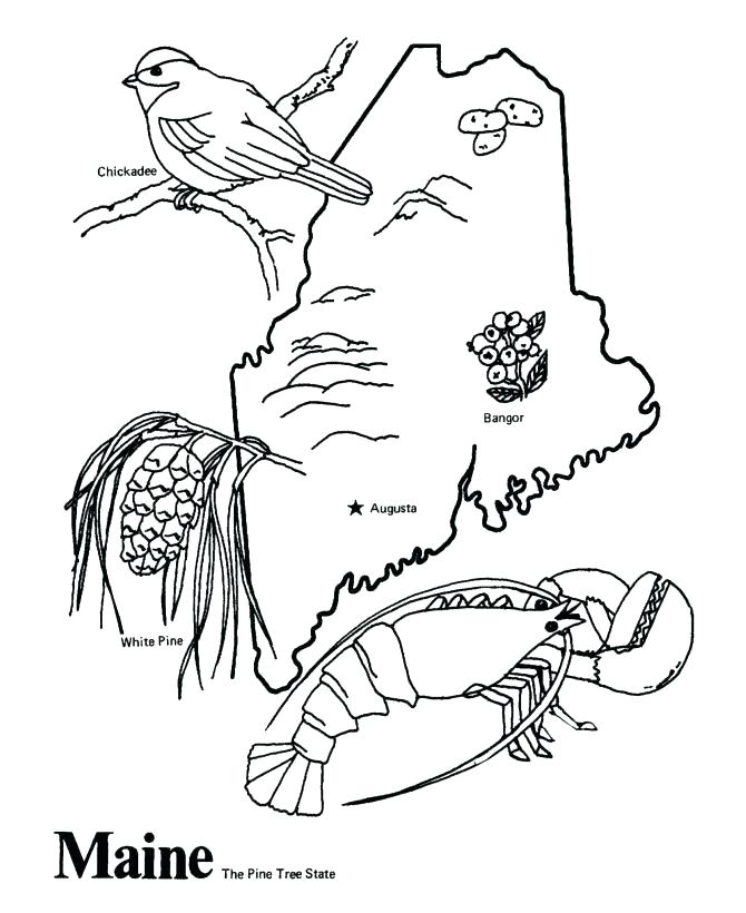 670x820 States Coloring Pages Excellent United States Coloring Page Online