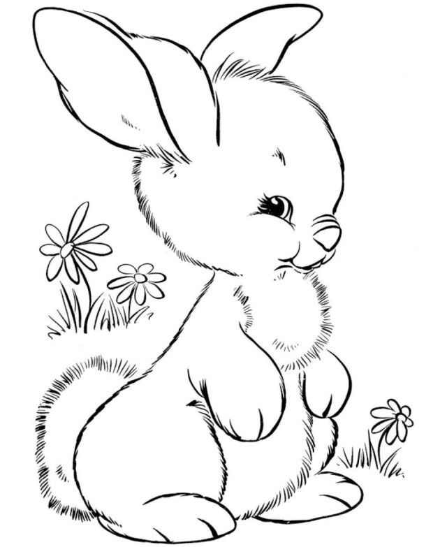 640x783 Related Image Woodland Animals Bunny, Woodland