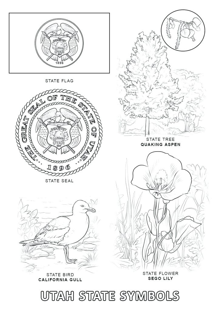 725x1024 Usa Coloring Page