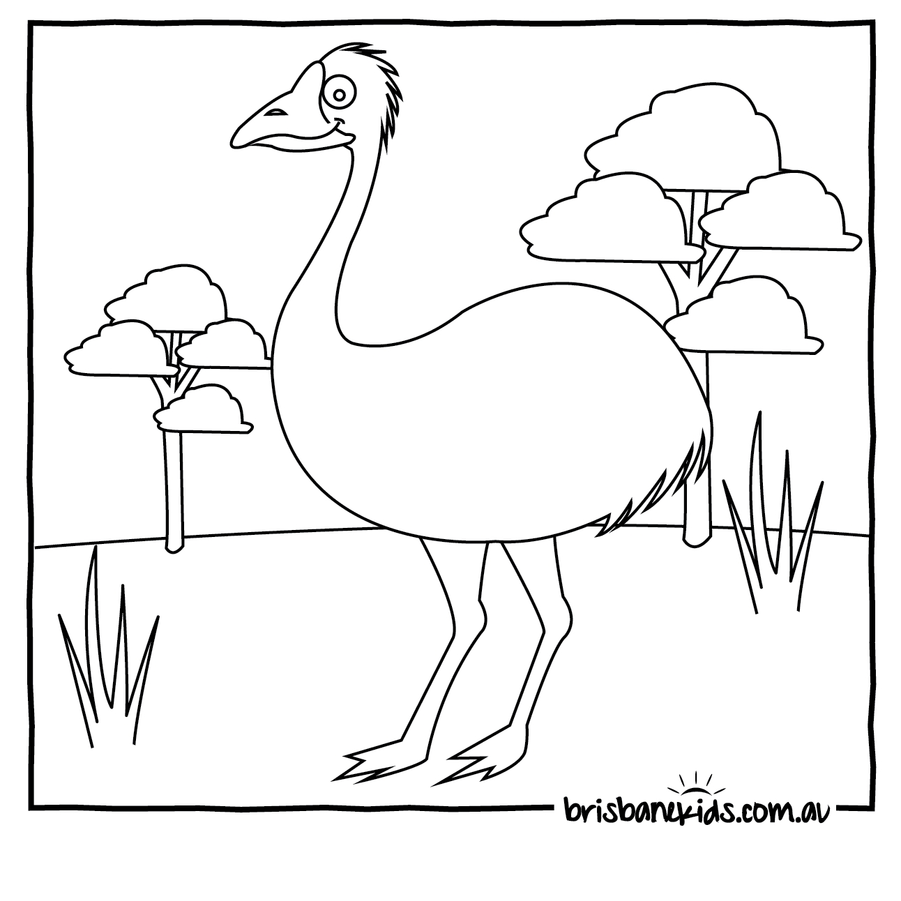 1292x1292 New Australian Animals Coloring Pages Gallery Free Coloring Pages